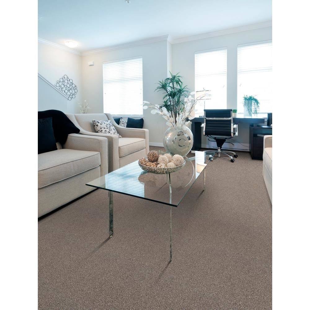 18 in. x 18 in. Carpet Tile (10 Tiles/Case) D435011