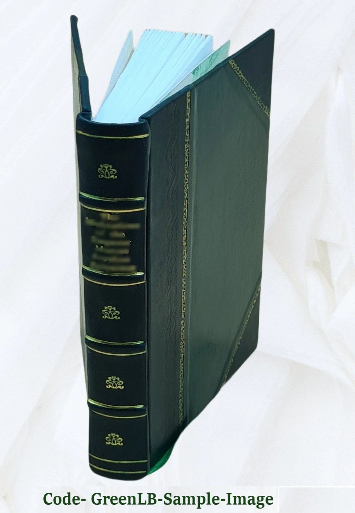 Leather Bound Book Z3016