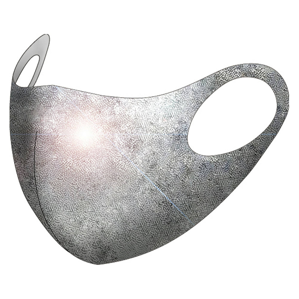 Metallic Silver 10-Pack Reusable Face Mask E911