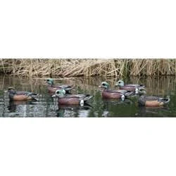 6 Pack Widgeon Decoys A3678
