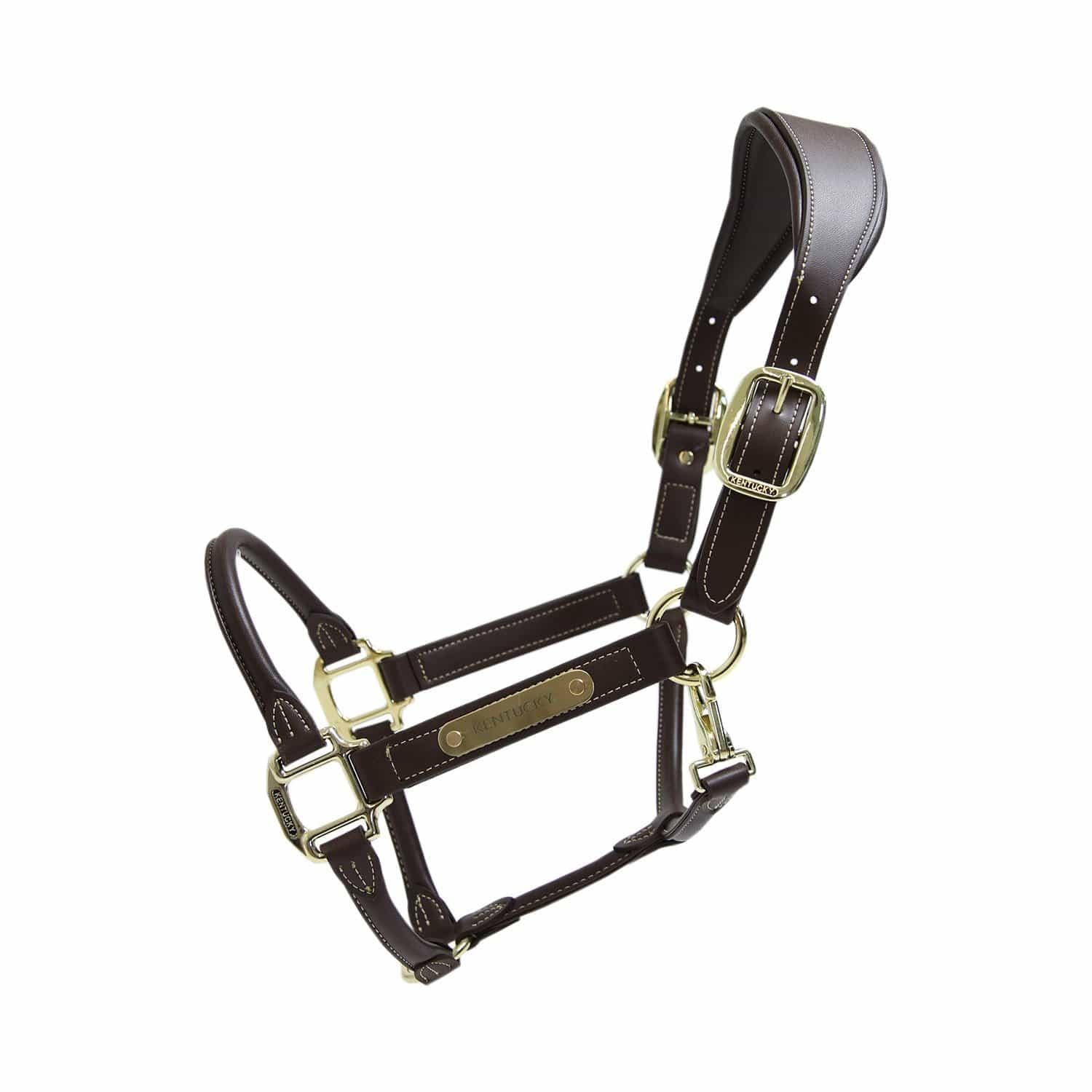Anatomical Leather Halter F99219