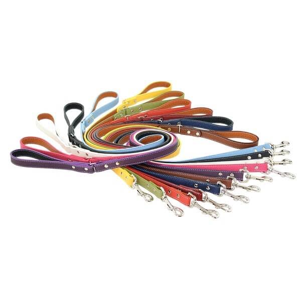 Brown Dog Leash G29565