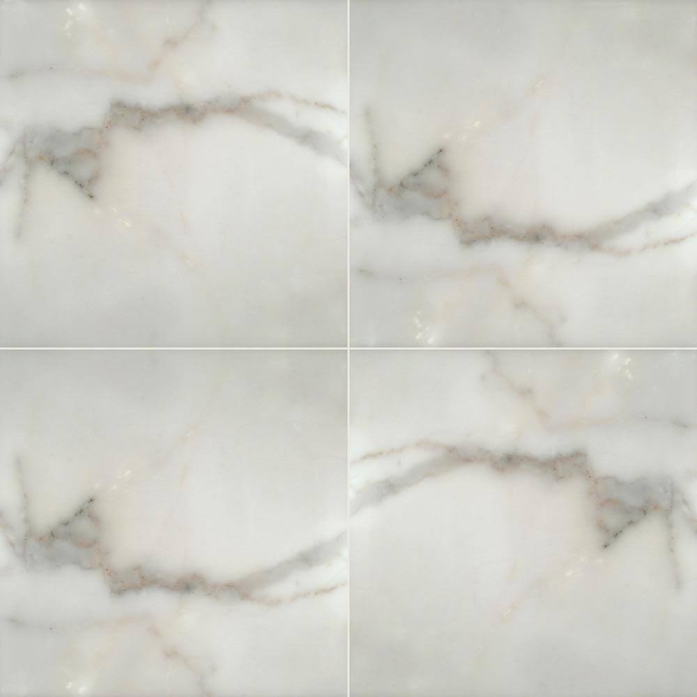 12 in. x 12 in. Honed Marble Floor and Wall Tile S77577