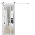 Glass Barn Door with Installation Hardware Kit O102