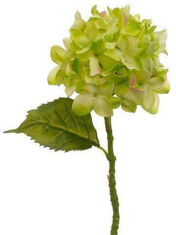 Hydrangea Spray Green 12 Pieces P8510