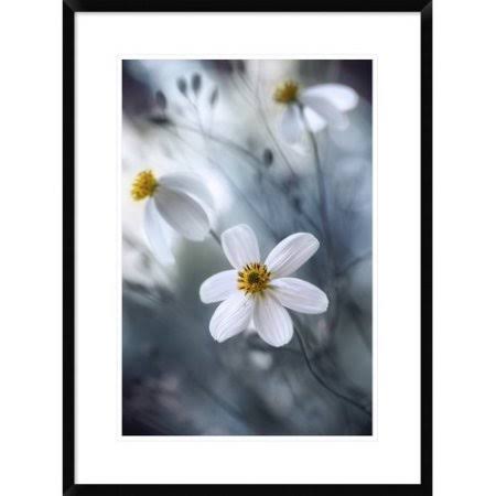 Framed Photographic Print M87946