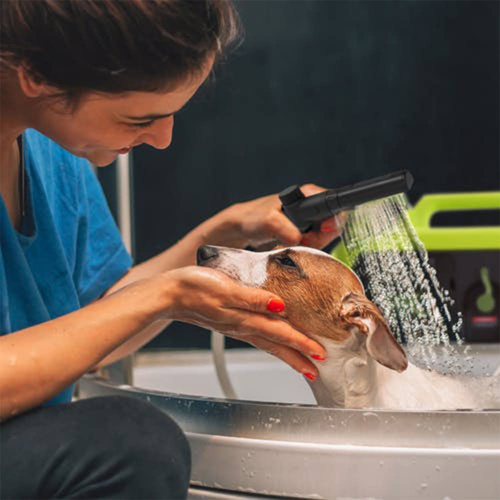 24V Cordless Portable Sink/Shower Spray Washer Kit M809