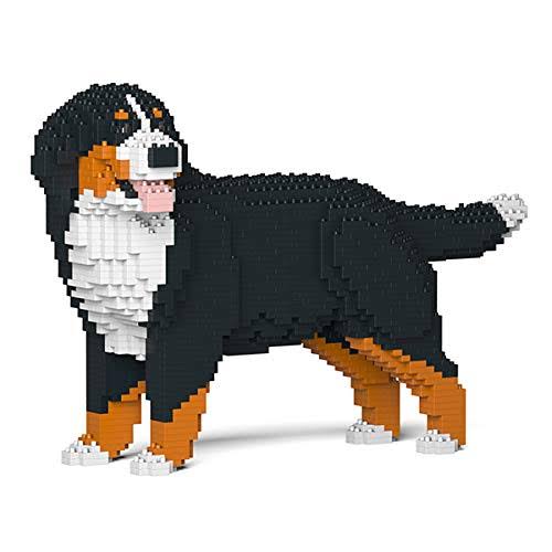 Bernese Mountain Dog H6384