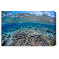 Canvas Art P4270