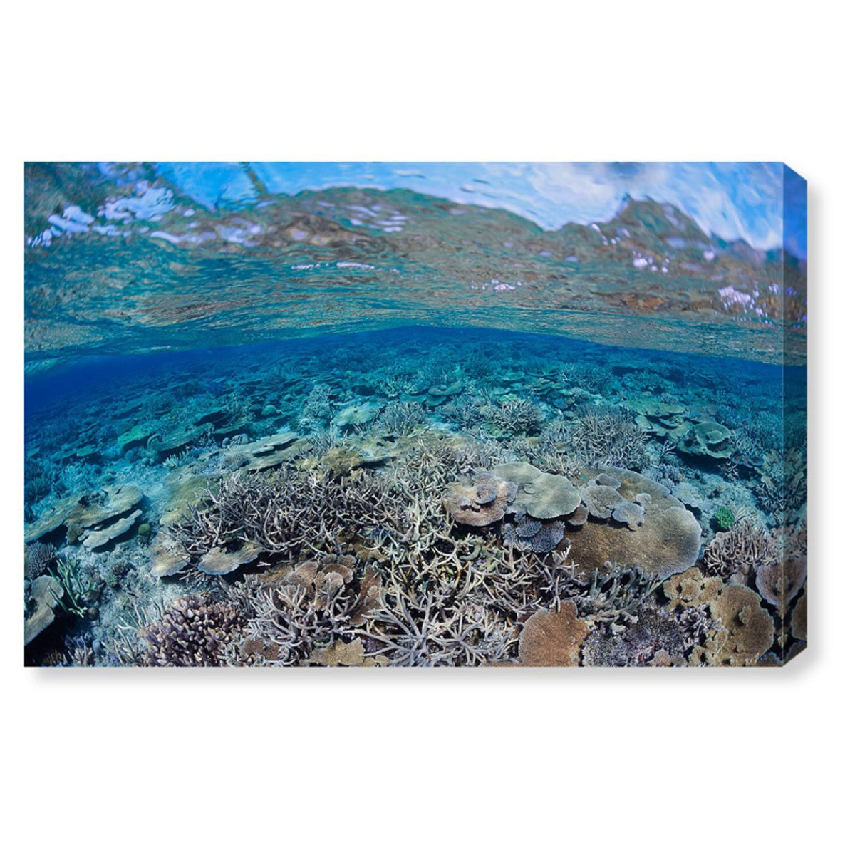 Canvas Art P4270