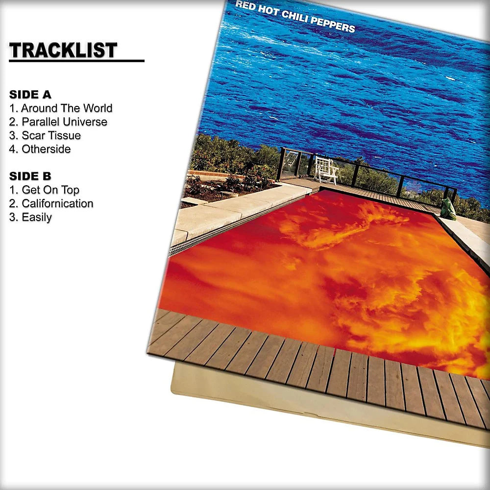 Californication Vinyl S142
