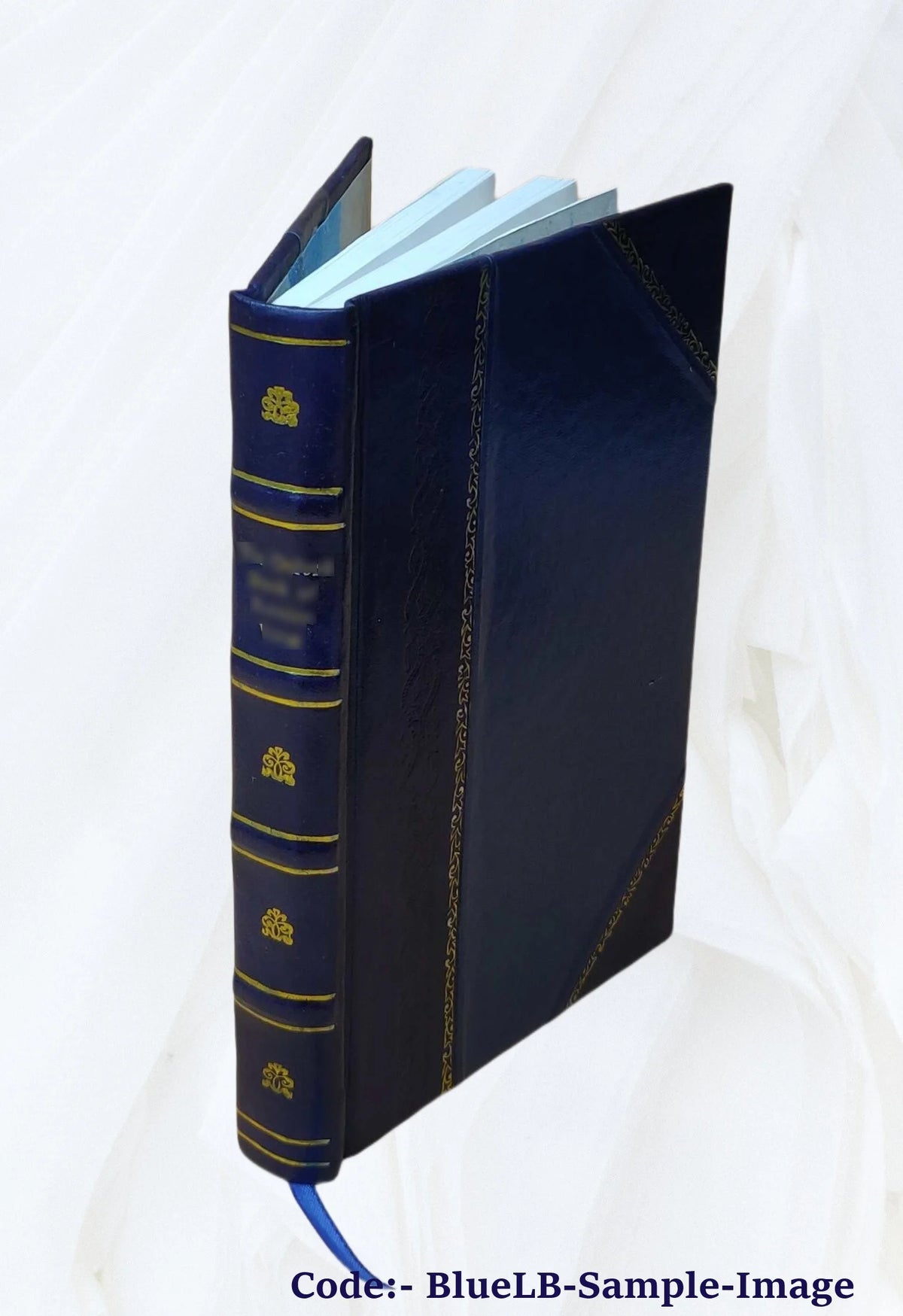Leather Bound Book V798