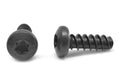 6 Lobe Pan Head Thread Rolling Screw Black Oxide Pk 10000 X85193