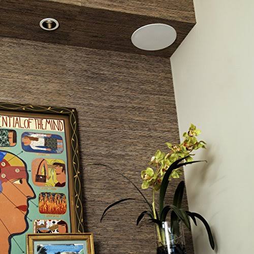 White In-Ceiling Speaker D403