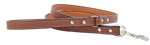 Brown Dog Leash G29565