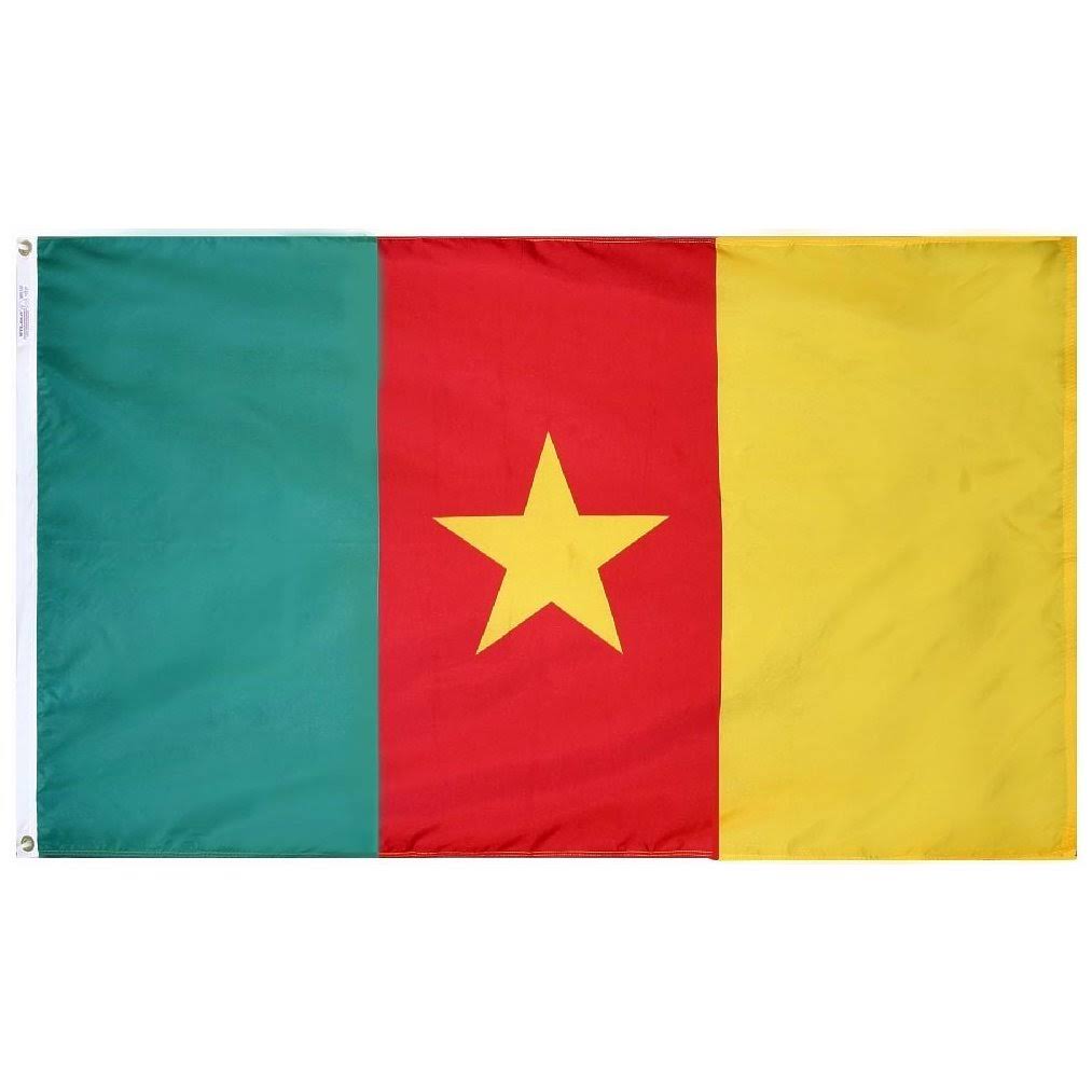 3x5 Nylon Flag Q5383