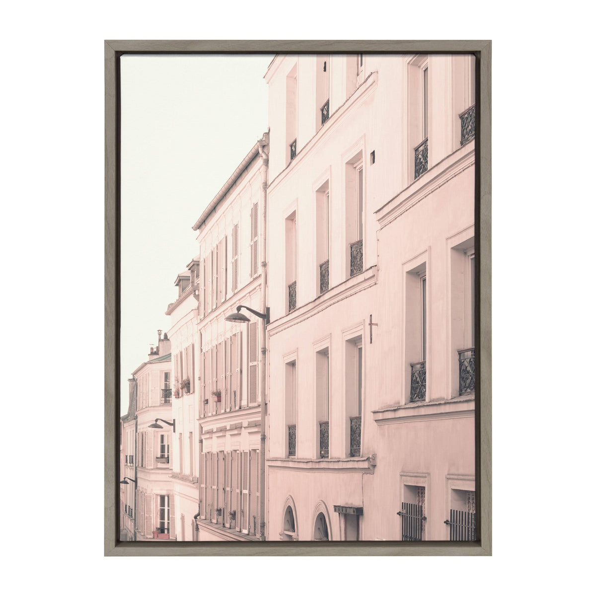 Framed Canvas D51510