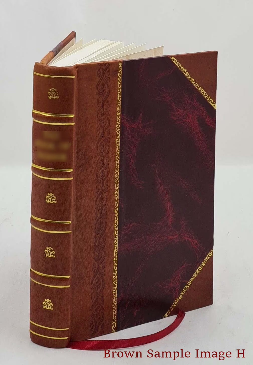 Leather Bound Book V798