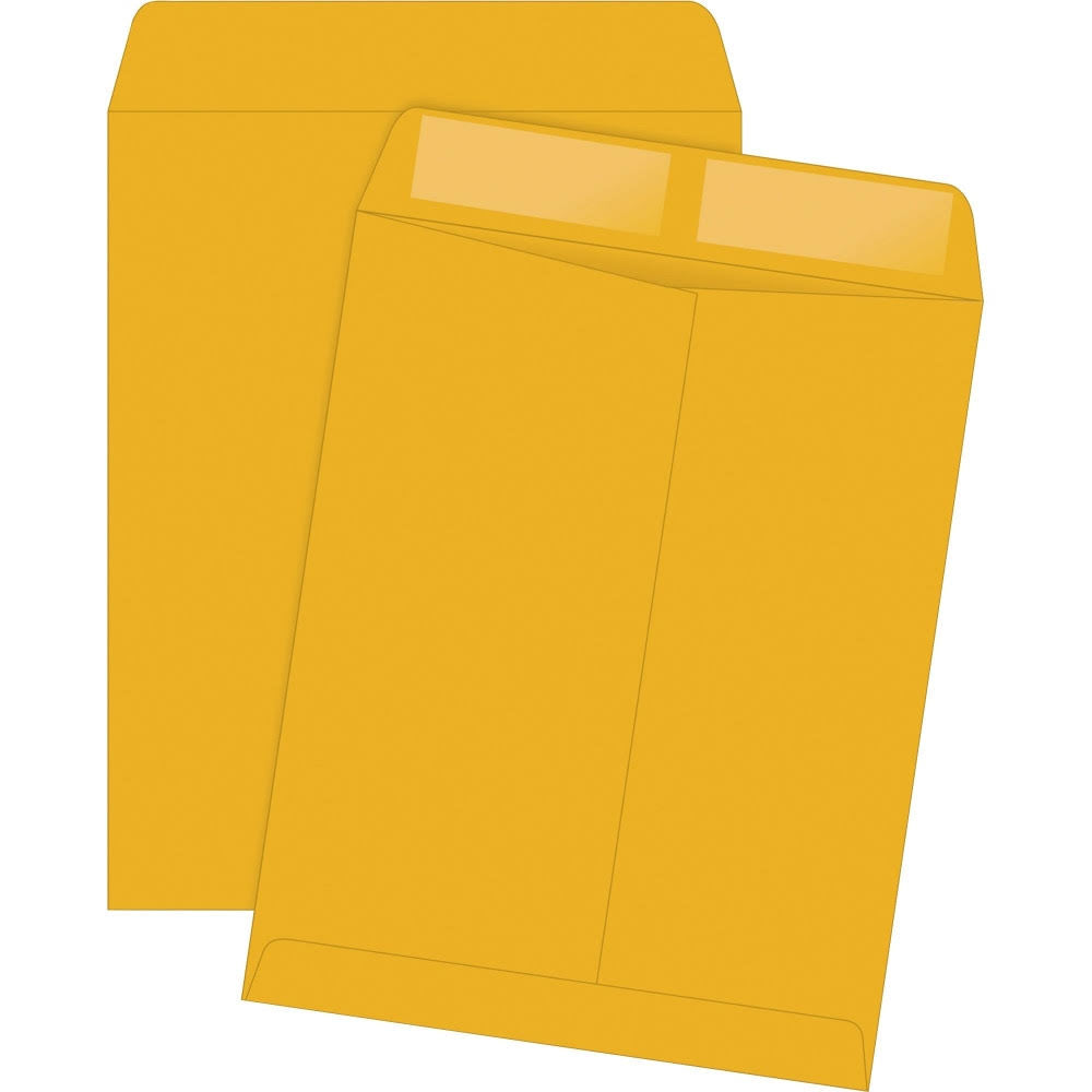 Brown Box of 250 Catalog Envelopes 11 1/2in. x 14 1/2in. F6495