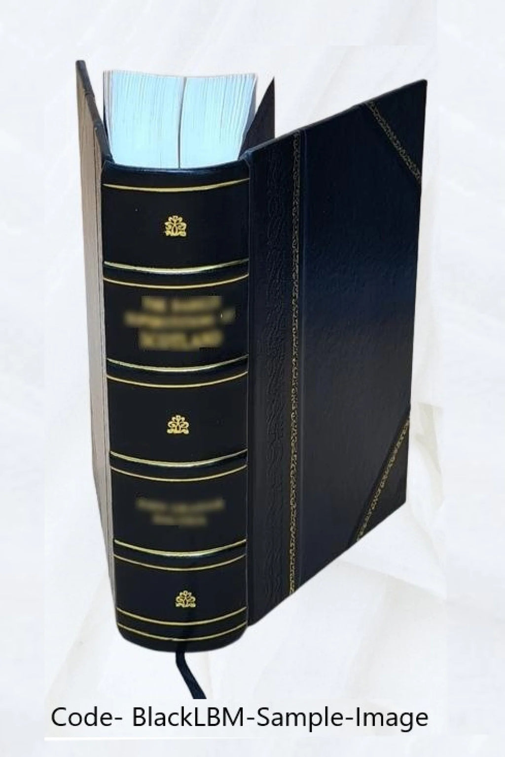 Leather Bound Book F773494