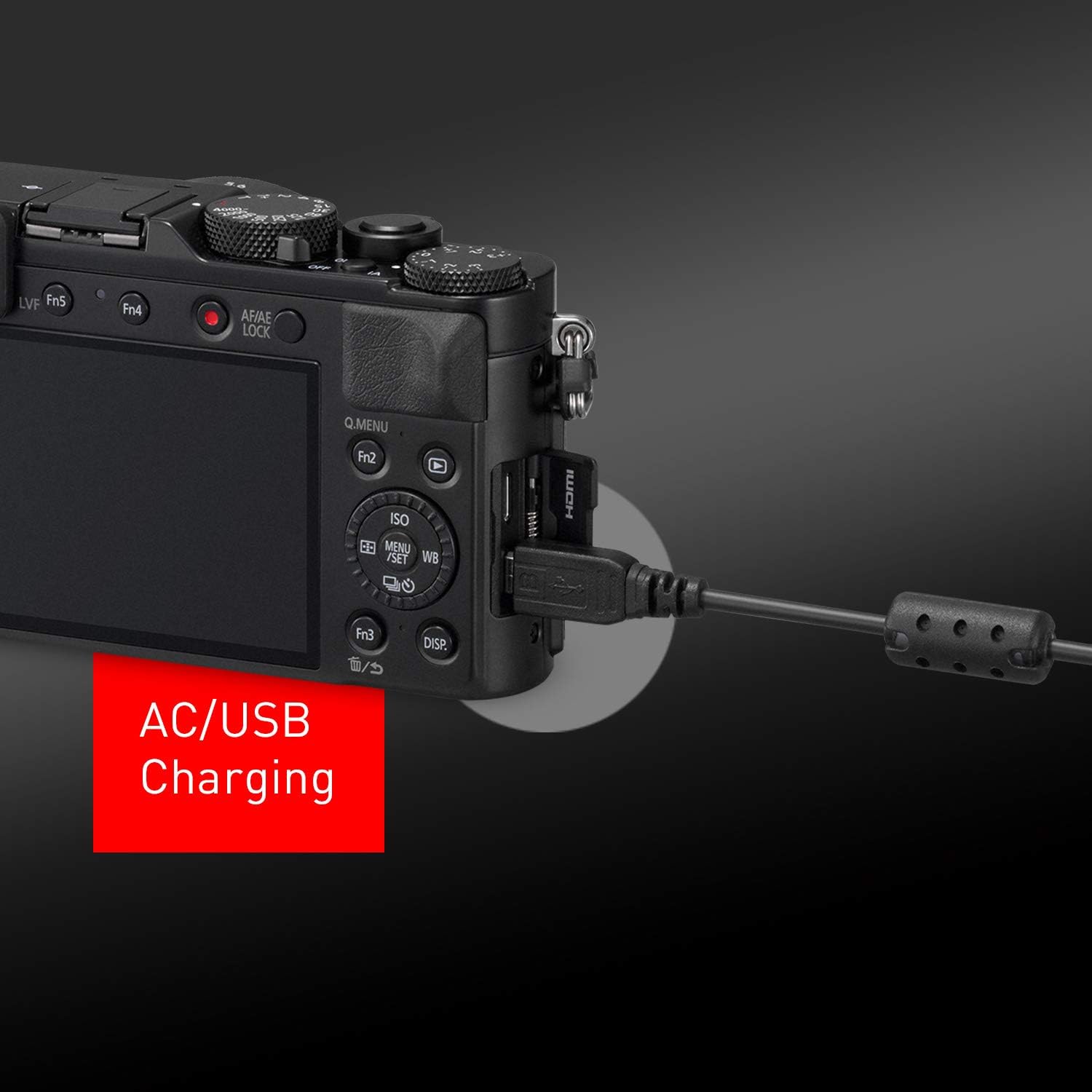 Black 21.7 MP Large Four Thirds Camera with 24-75mm Leica Lens I9928