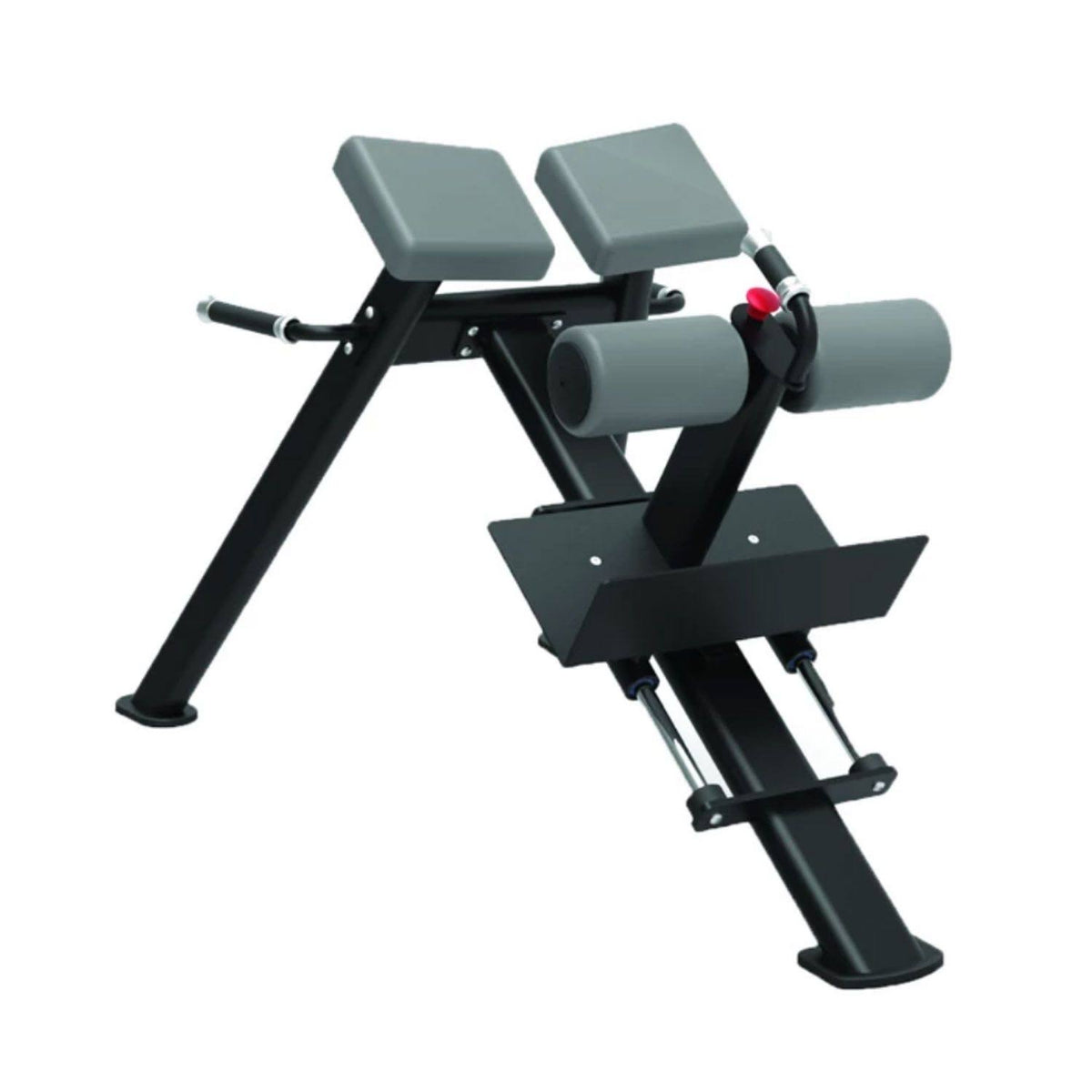 Back Extension Bench D684272