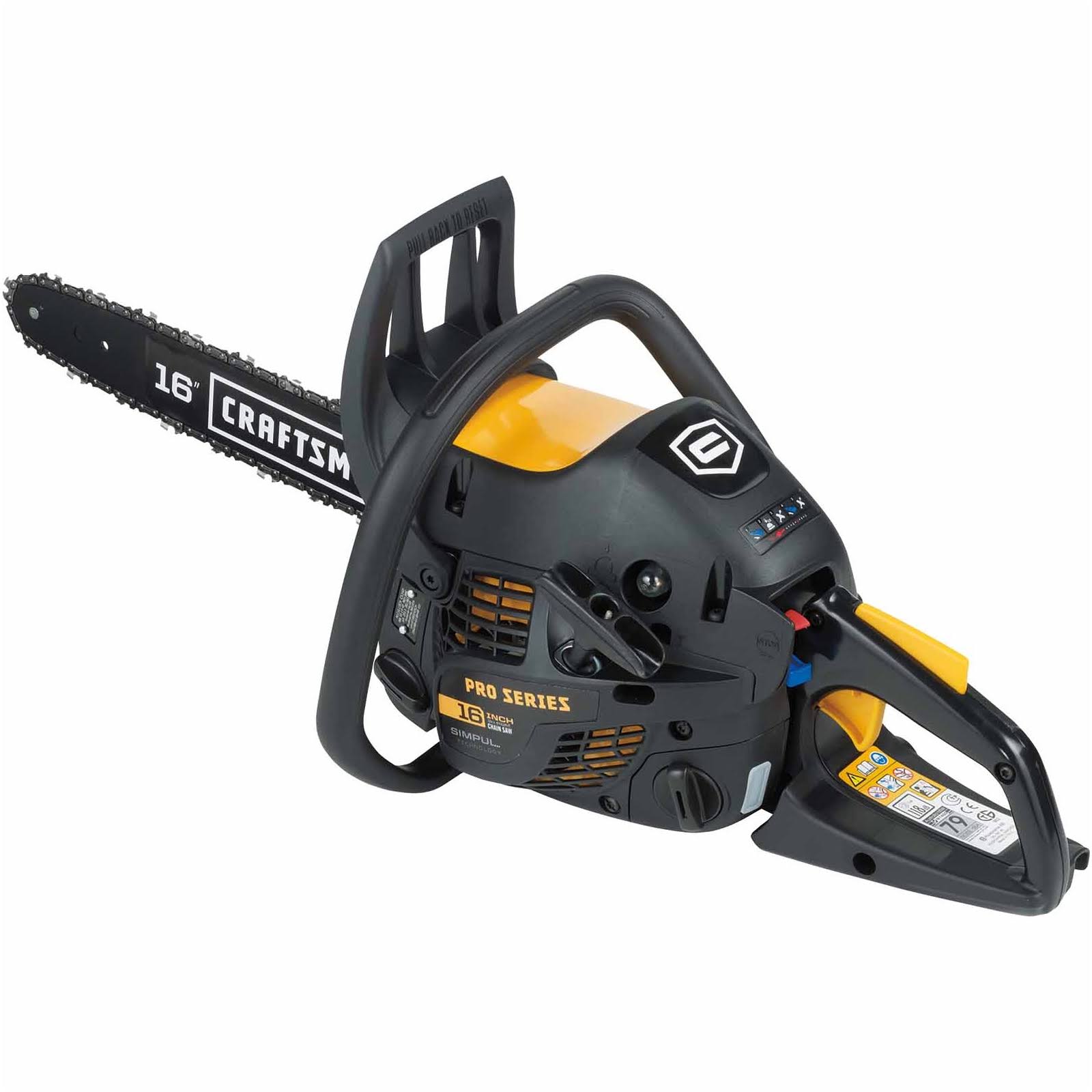 38cc 2-Cycle 16x22 Gas Chainsaw F43424