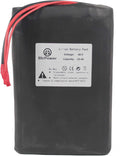 48V 10AH-50AH Lithium ion LiFePO4 Battery Pack with 5A Charger and 50A BMS E819963