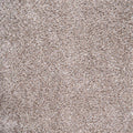 18 in. x 18 in. Carpet Tile (10 Tiles/Case) D435011