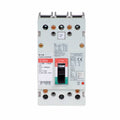 Molded Case Circuit Breakers G42000