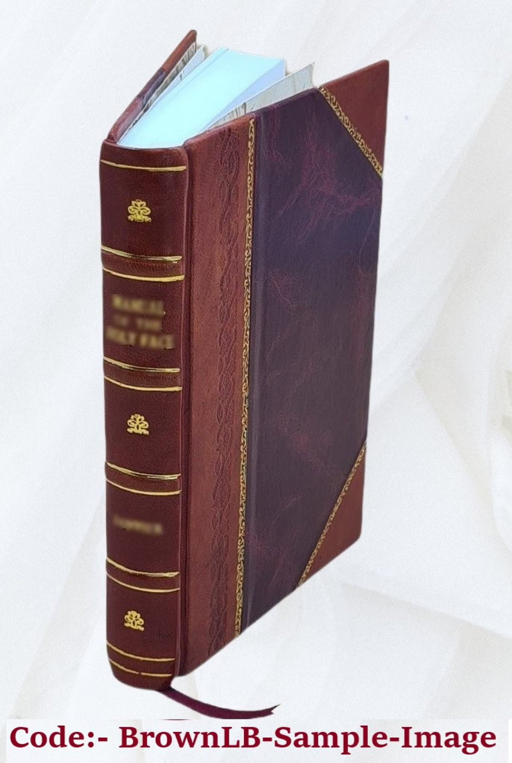 Leather Bound Book Z3016