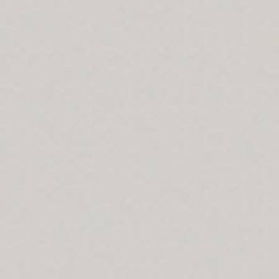 Pale Gray Filter M2952