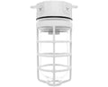 White Die-Cast Vprf MT FX N133288