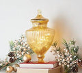 Illuminated Mercury Glass Apothecary Jar A1651