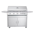 40-Inch 5-Burner Natural Gas Grill With Rear Infrared Burner & Grill Lights N709