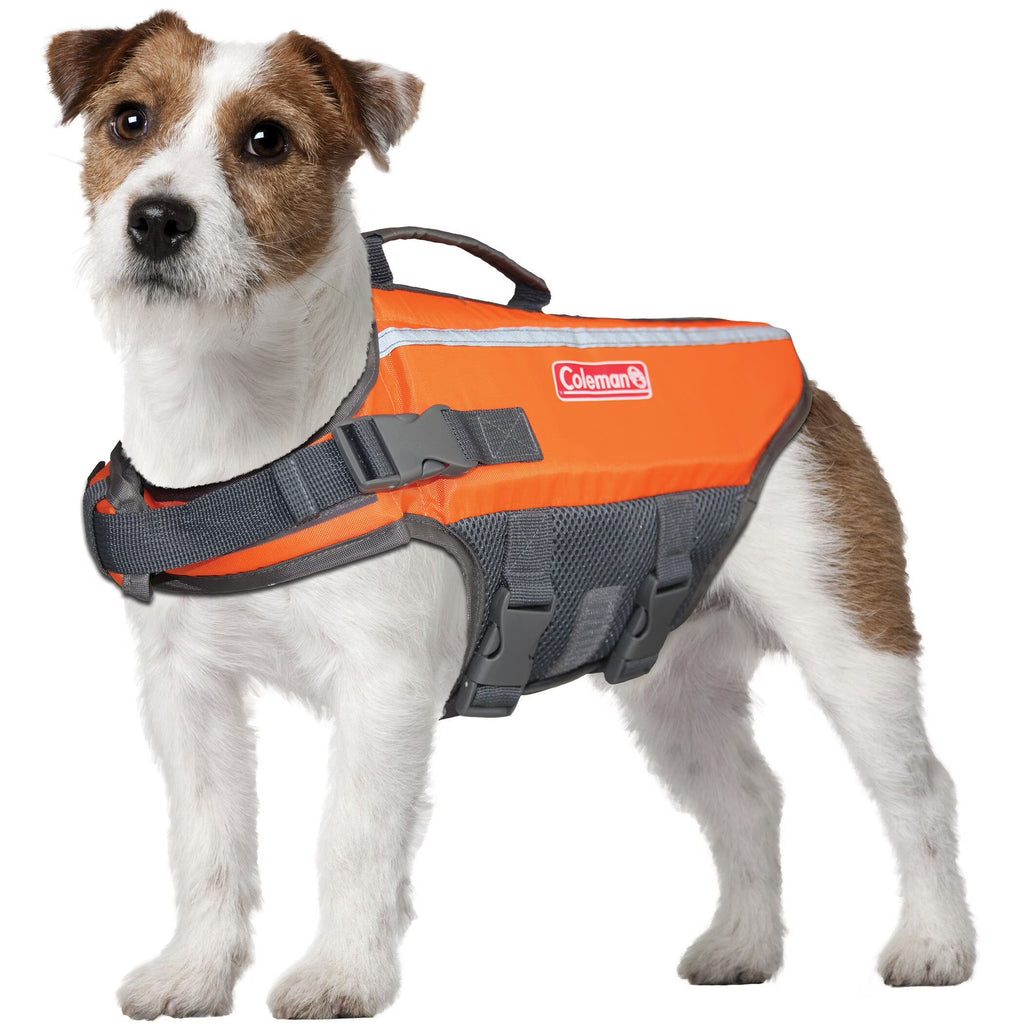 Small Dog Flotation Vest X5892